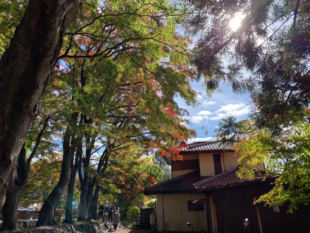 Writer’s Note: Moving&nbsp;Forward